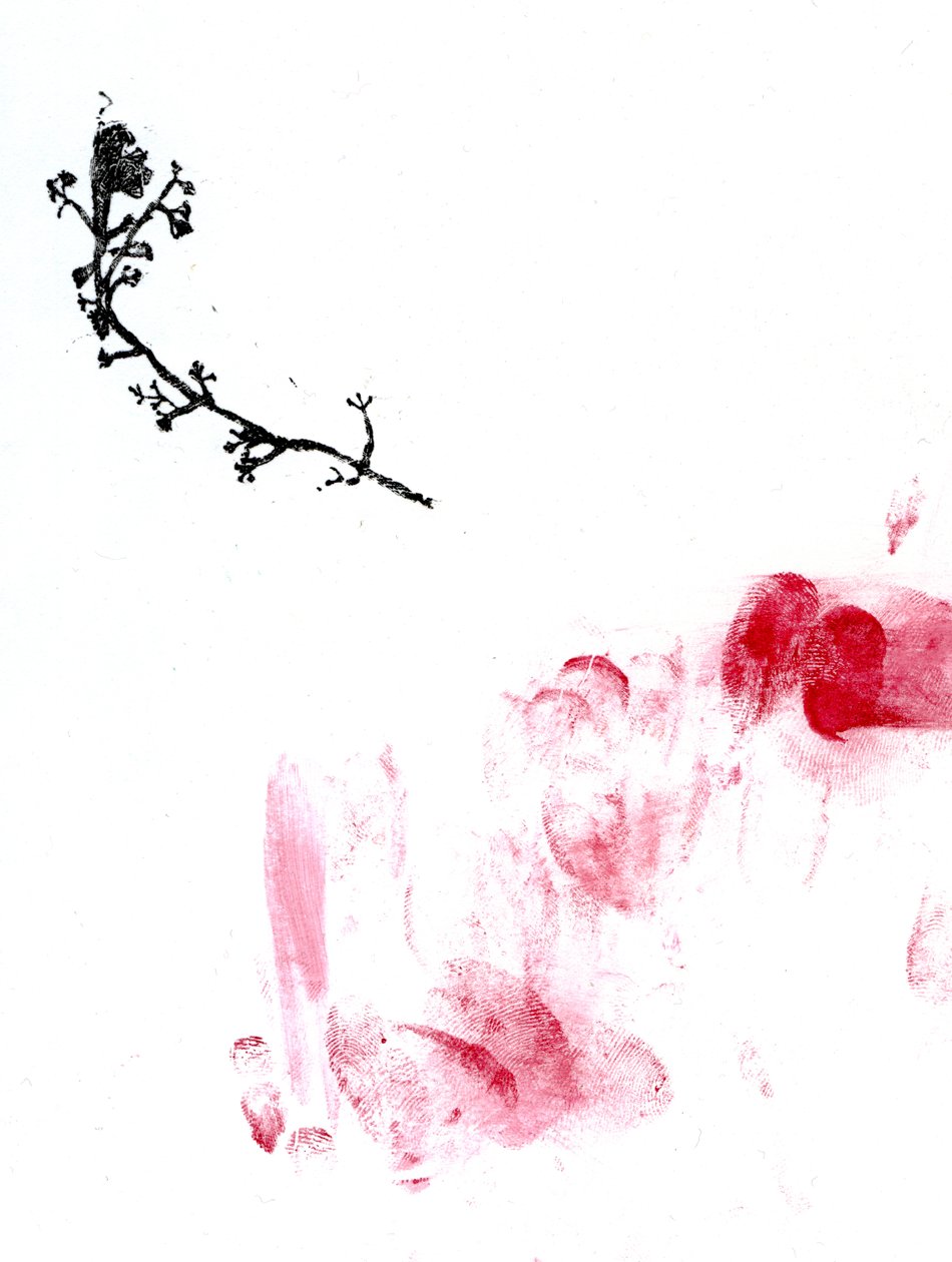 Lišejník {Fay-erie Dust}, 2014 (dřevorytina a vodová barva na papíře) od Bella Larsson