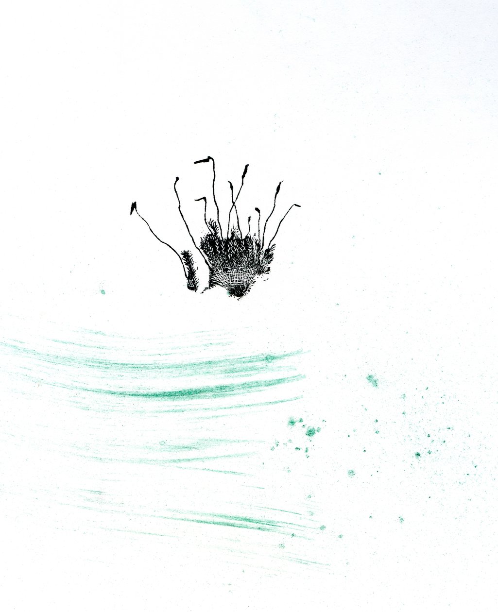 Mech {Fay-erie Dust}, 2014 (dřevoryt a pigment na papíře) od Bella Larsson