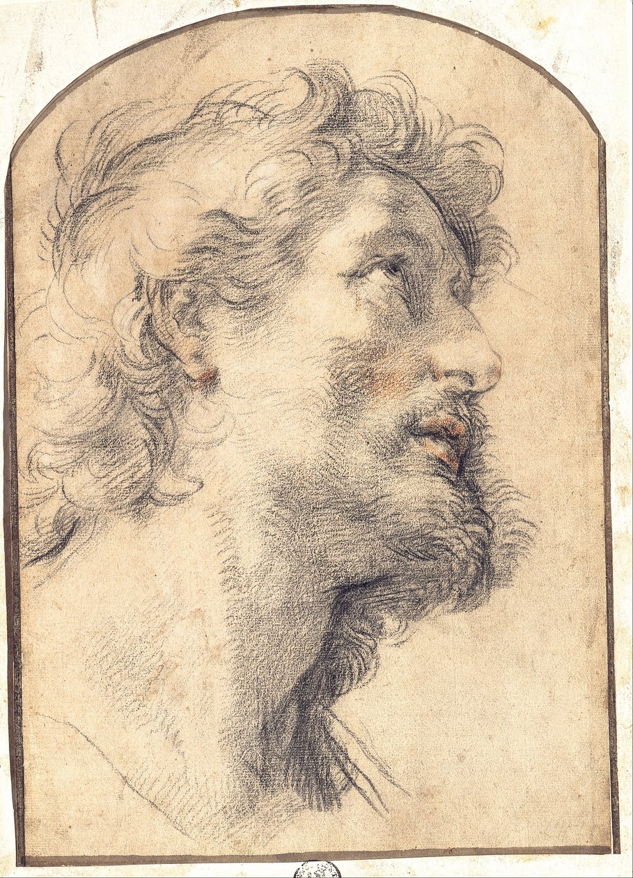 Studie hlavy svatého Crispina od Benedetto Luti