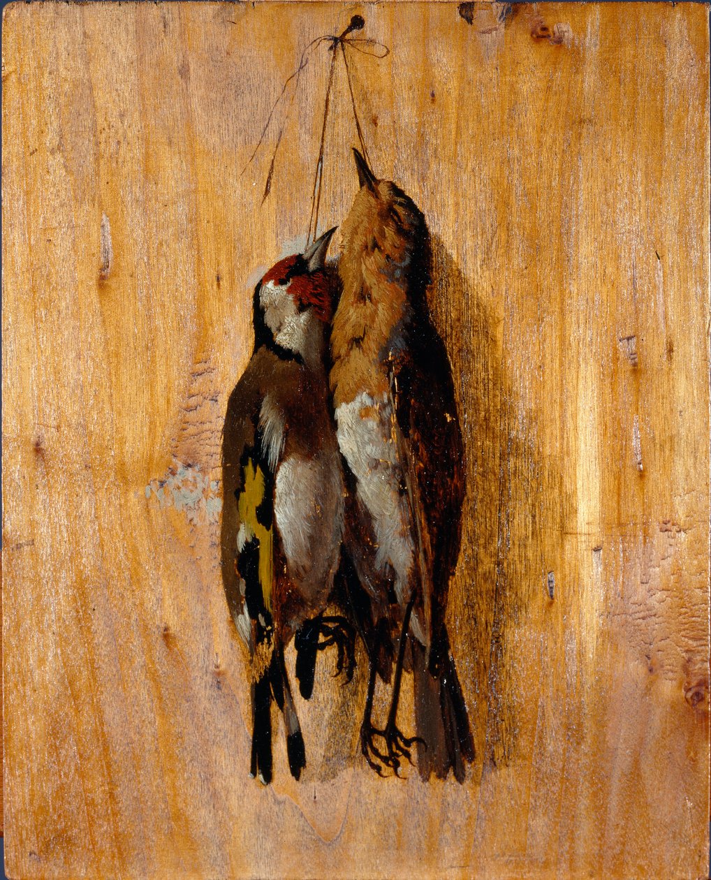 Studie přírody Dva mrtví ptáci špendlíky na zdi. Obraz Benedetta Musso (1835-1883) 1864 kolem ne. 20,5x16,5 cm geny, Galleria d