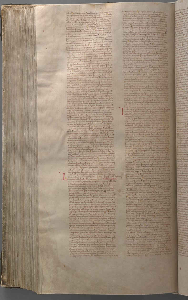 Codex Gigas od Benedictine monastery of Podlažice