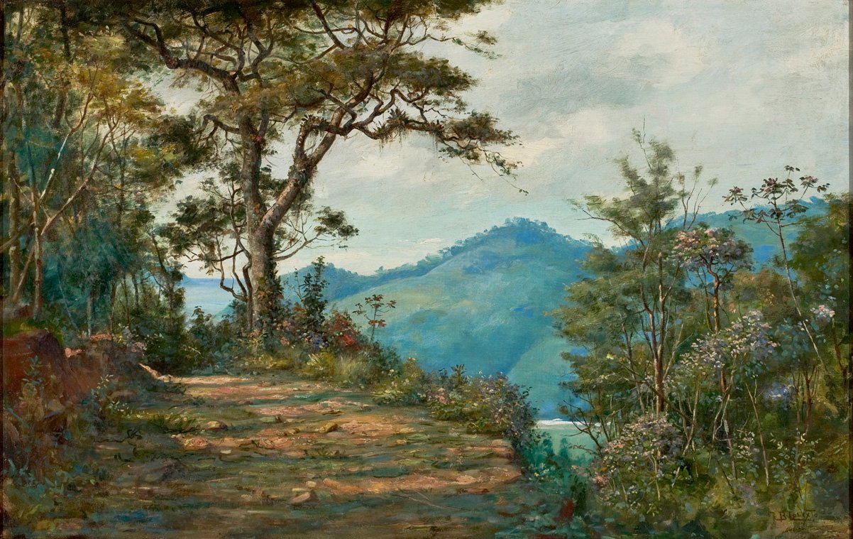 LandscapenPortugues: Krajina ze série Matan od Benedito Calixto