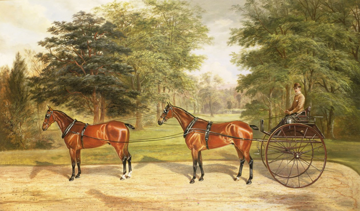 Dva koně, zapřažení v tandemu, táhnoucí kočár, 1883 od Benjamin Cam Norton
