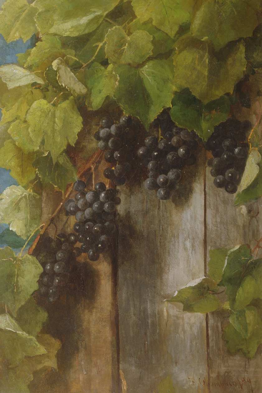 Plodná réva, 1889 od Benjamin Champney