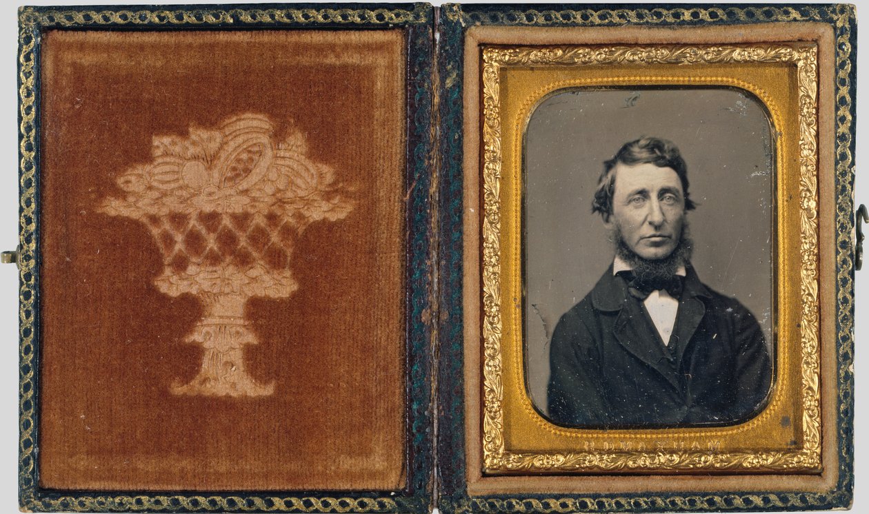 Henry David Thoreau od Benjamin D. Maxham