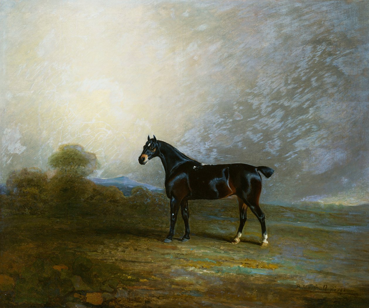 Bembo, oblíbený lovec Charlese Shuttlewortha, Esq., 1802 od Benjamin Marshall