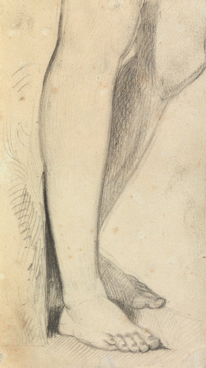 Figurální studie nohou od Benjamin Robert Haydon