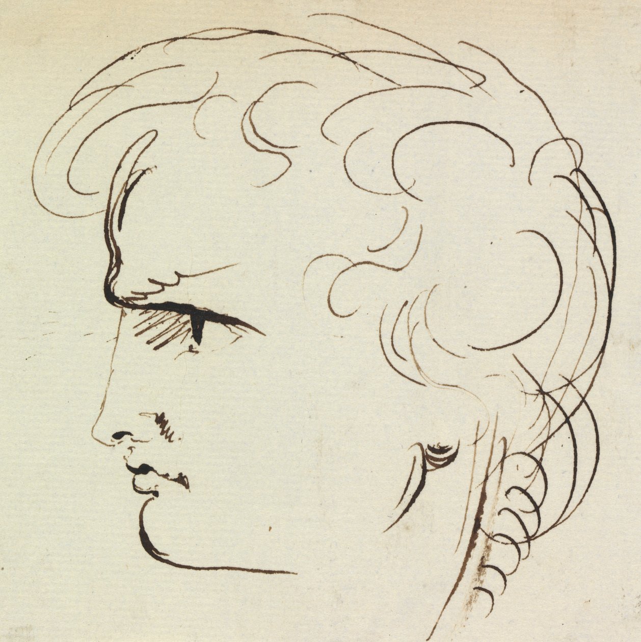 Portrétní studie mladého muže od Benjamin Robert Haydon