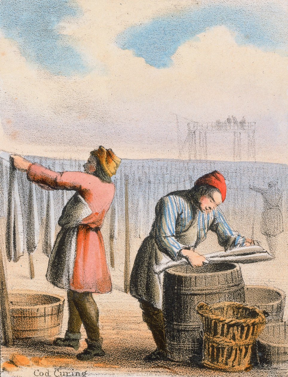 Curing tresky, c1845 od Benjamin Waterhouse Hawkins