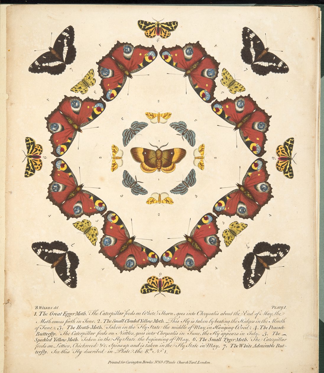 Talíř 1, z Vzácného zobrazení motýlů a můr, hospoda. 1764 (ručně kolorovaná rytina) od Benjamin Wilkes