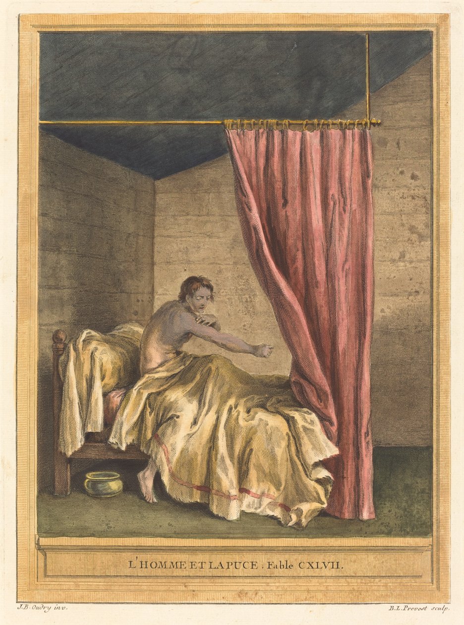 Muž a blecha (Muž s blechami) od Benoît Louis Prévost after Jean Baptiste Oudry