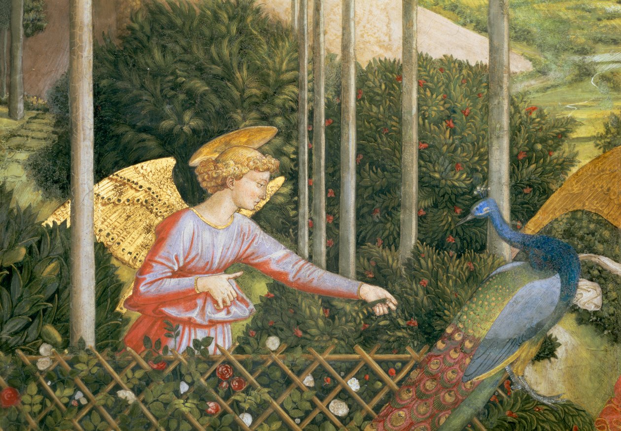 Anděl krmící páva, detail z cyklu Cesta tří králů v kapli, detail fresky cca 1460 z 70610 od Benozzo di Lese di Sandro Gozzoli