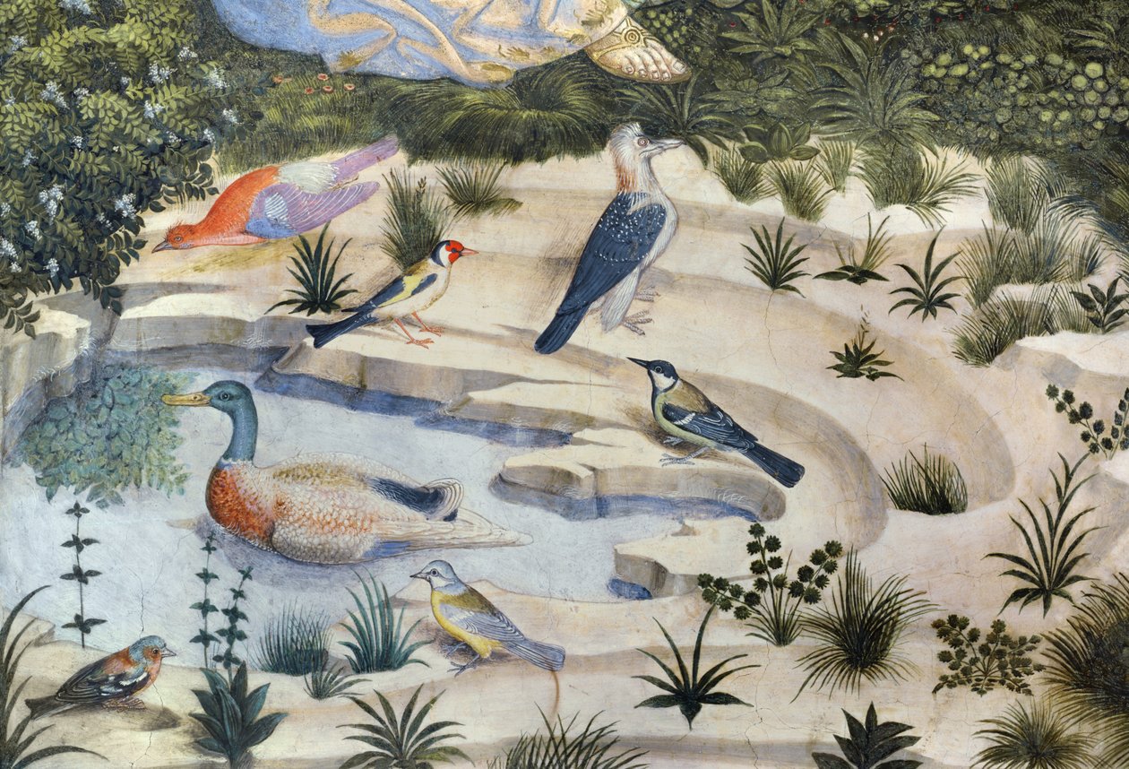 Ptáci kolem rybníka, detail z cyklu Cesta tří králů v kapli, c.1460 detail fresky z 70610 od Benozzo di Lese di Sandro Gozzoli