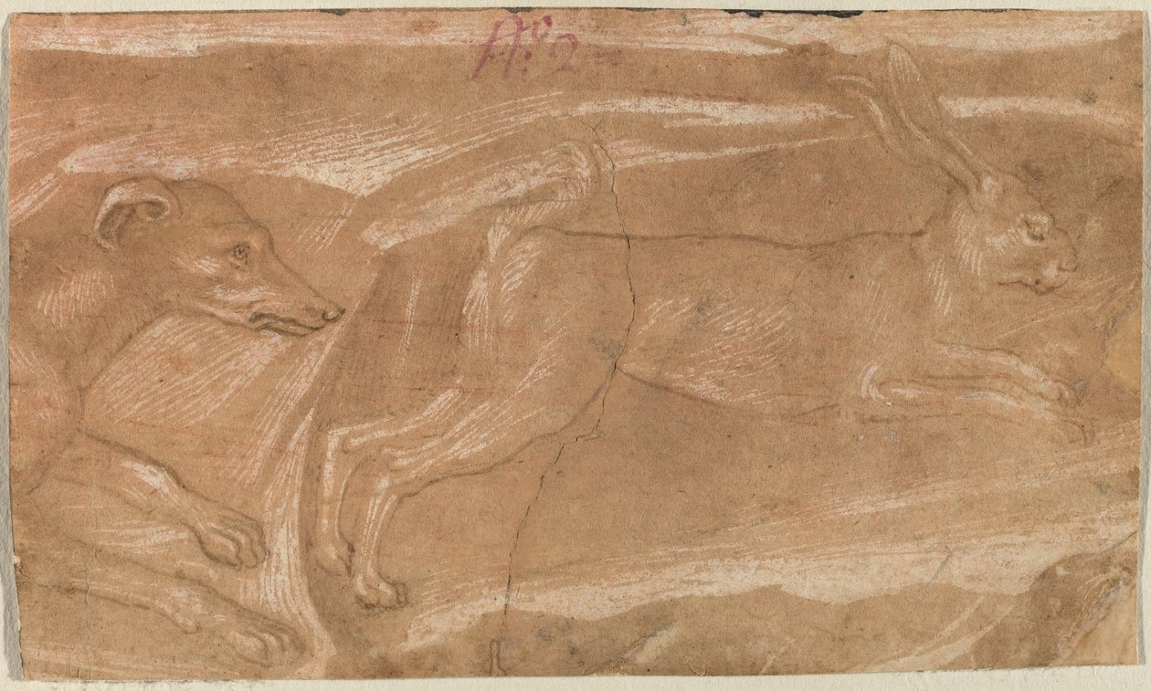 Ohař honí zajíce od Benozzo Gozzoli