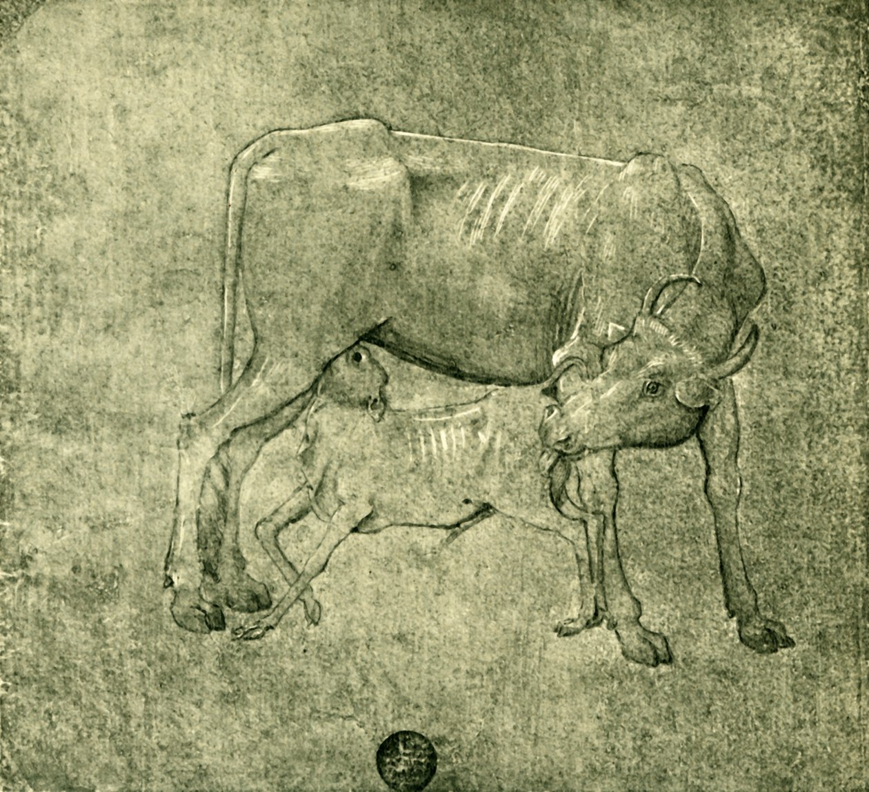 Kráva a tele, polovina konce 15. století, 1943. od Benozzo Gozzoli