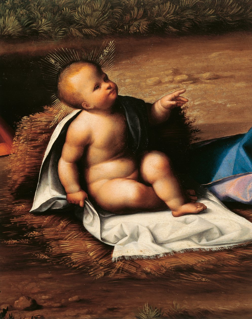 Jezulátko, detail z Narození Páně od Garofala (1481-1559) od Benvenuto Tisi da Garofalo