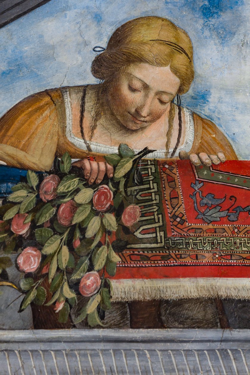 Žena ve žlutých šatech a květinách, detail klenby, Aula Costabiliana nebo Síň pokladu (freska) od Benvenuto Tisi da Garofalo