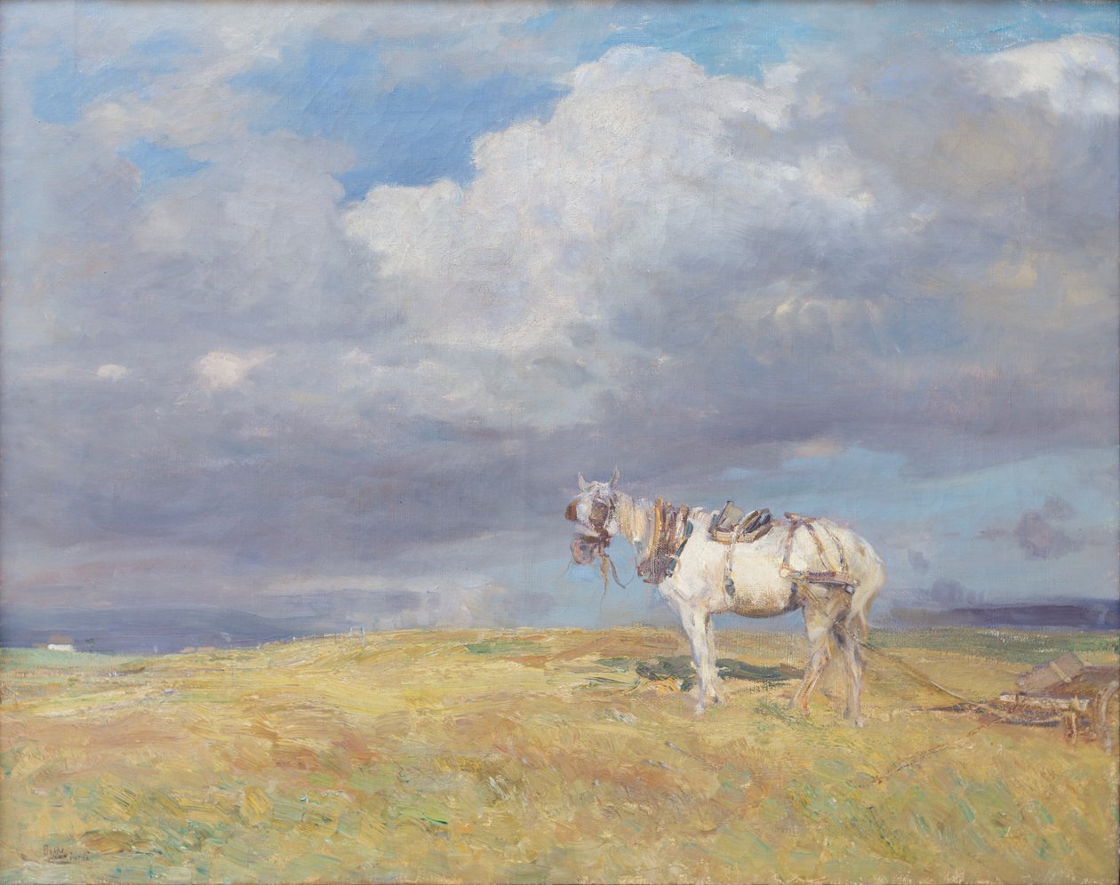 Bílý kůň, asi 1910 (olej na plátně) od Beppe Ciardi