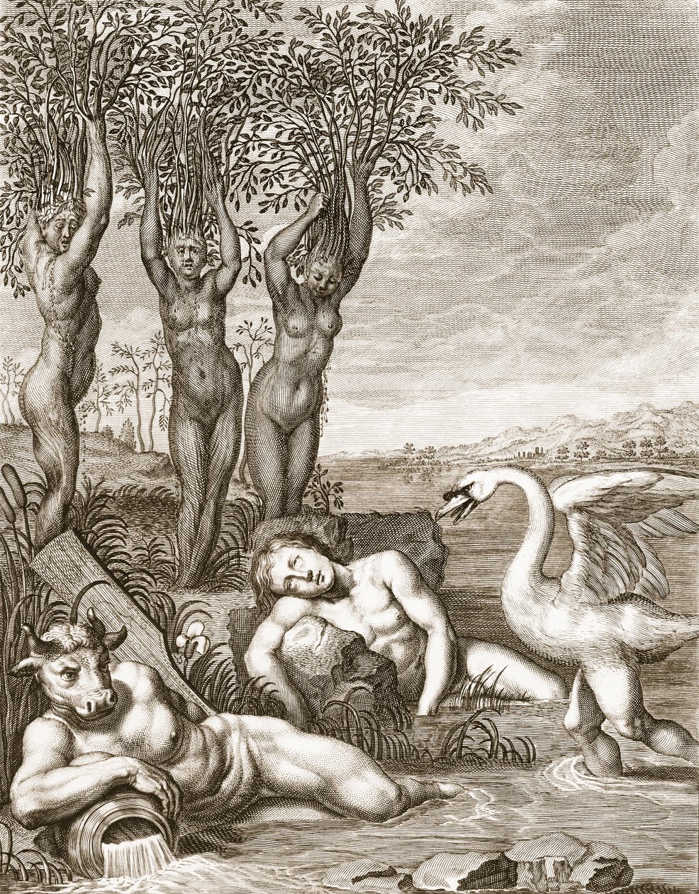 Cygnus proměněná v labuť a Phaetonovy sestry v topoly, 1731 od Bernard Picart
