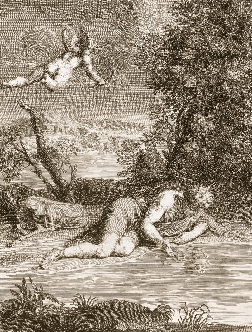 Narcis proměněný v květinu, 1730 od Bernard Picart
