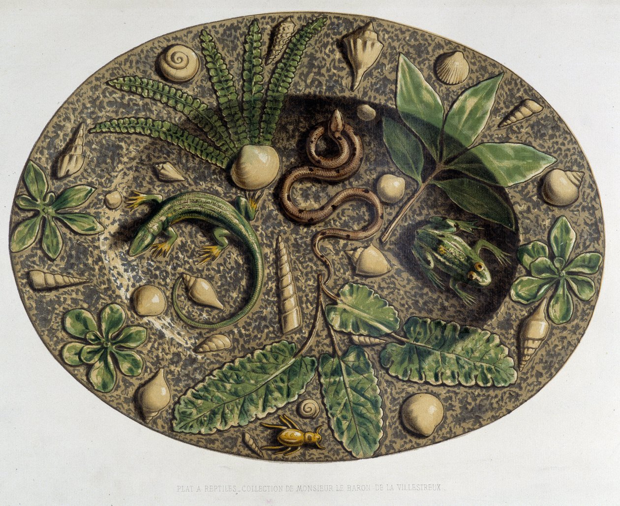 Talíř plazů - Talíř céramique, v „Dílo Bernarda Palissyho““ od C. Delange a C. Bornemana, Paříž od Bernard (after) Palissy