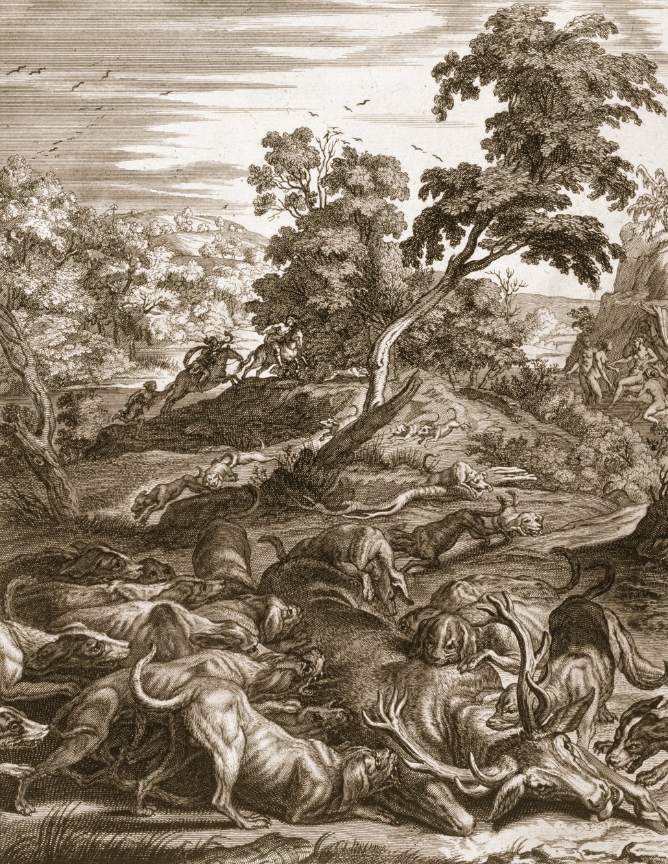 Actaeon proměněný v jelena a pohlcený svými psy, 1731 od Bernard Picart