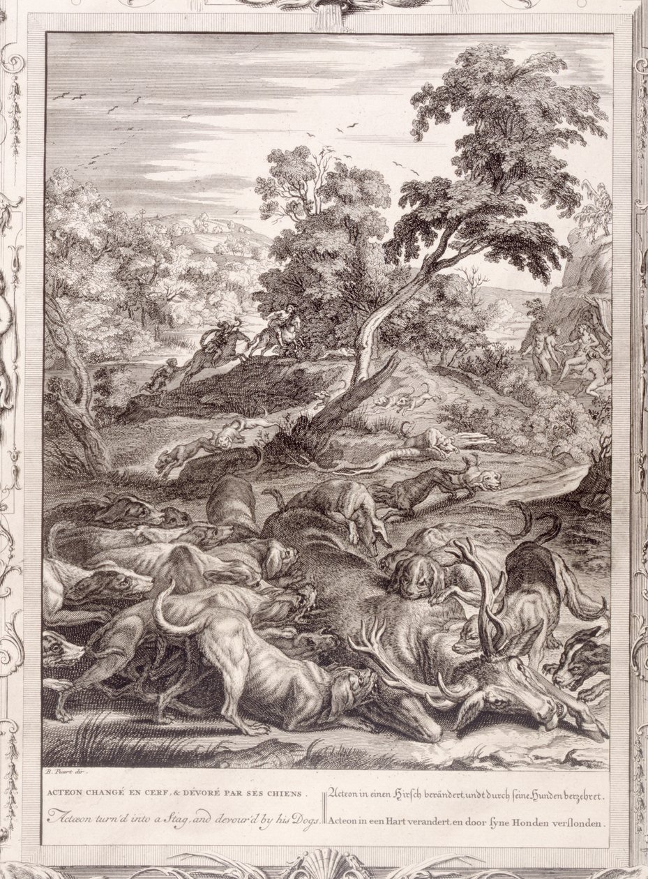 Actaeon proměněný v jelena a sežraný svými psy, 1731 od Bernard Picart