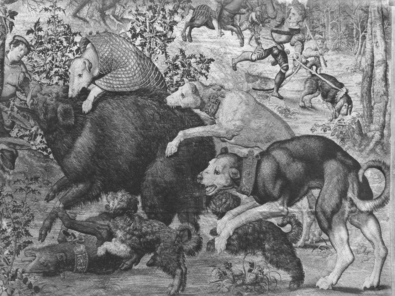 Hony na Maxmiliána, Kozoroha, Hon na kance, detail psů útočících na kance, továrna na gobeliny viz také 138999, 345944 gobelín bw foto od Bernard van Orley