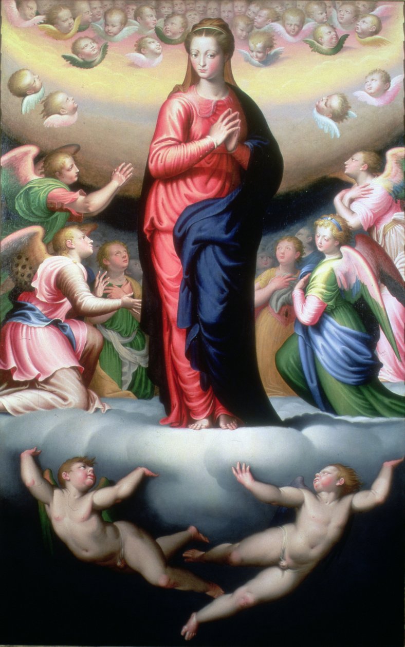 Madonna ve slávě od Bernardino Campi