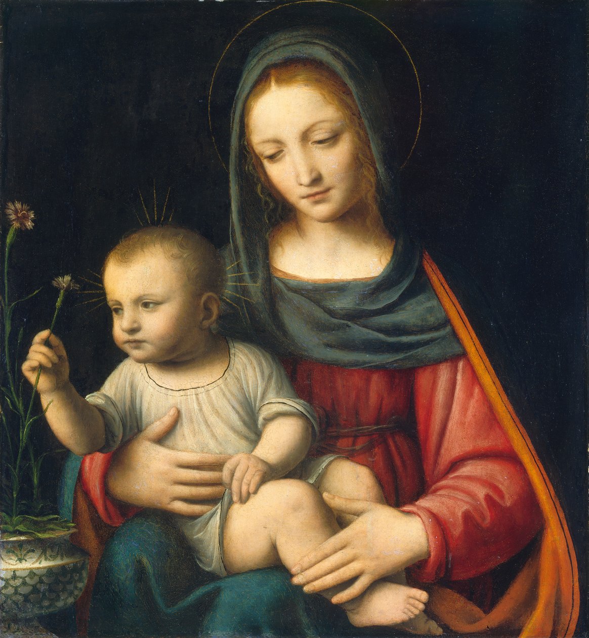 Madona s karafiátem, kolem roku 1515 od Bernardino Luini