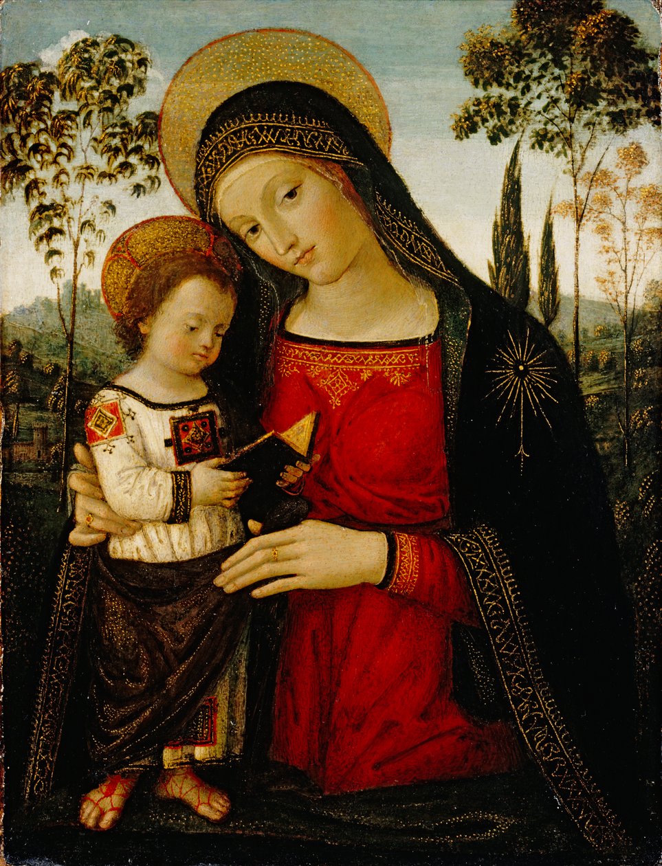Madonna a dítě, kolem 1490-1495 (tempera na panelu) od Bernardino di Betto Pinturicchio