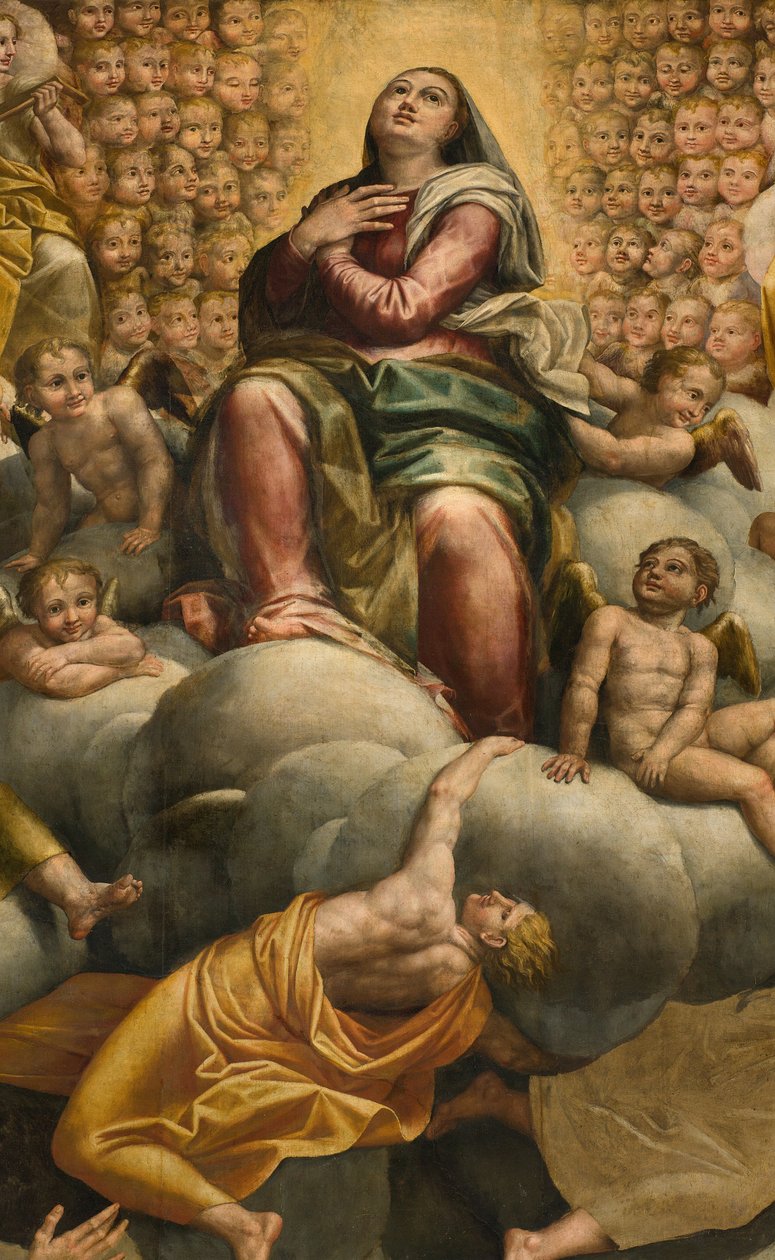 Apsida, oltářní obraz od Bernardina Gattiho s názvem Il Sojaro dokončený Giovanni Battista Trotti s názvem IL Malosso, Nanebevzetí Panny Marie od Bernardino Gatti