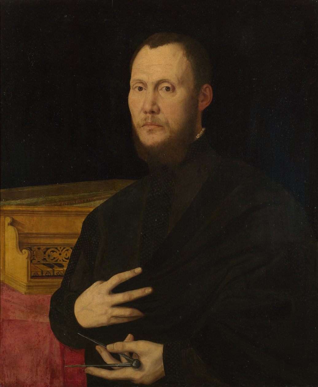 Portrét hudebníka, c. 1565 od Bernardino Campi