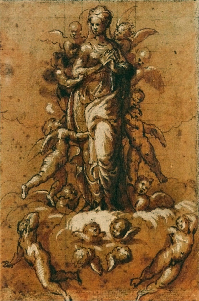 Neposkvrněné početí od Bernardino Campi
