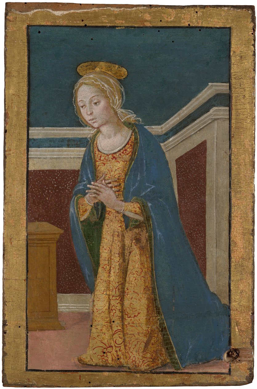 Panna oznámena od Bernardino Fungai