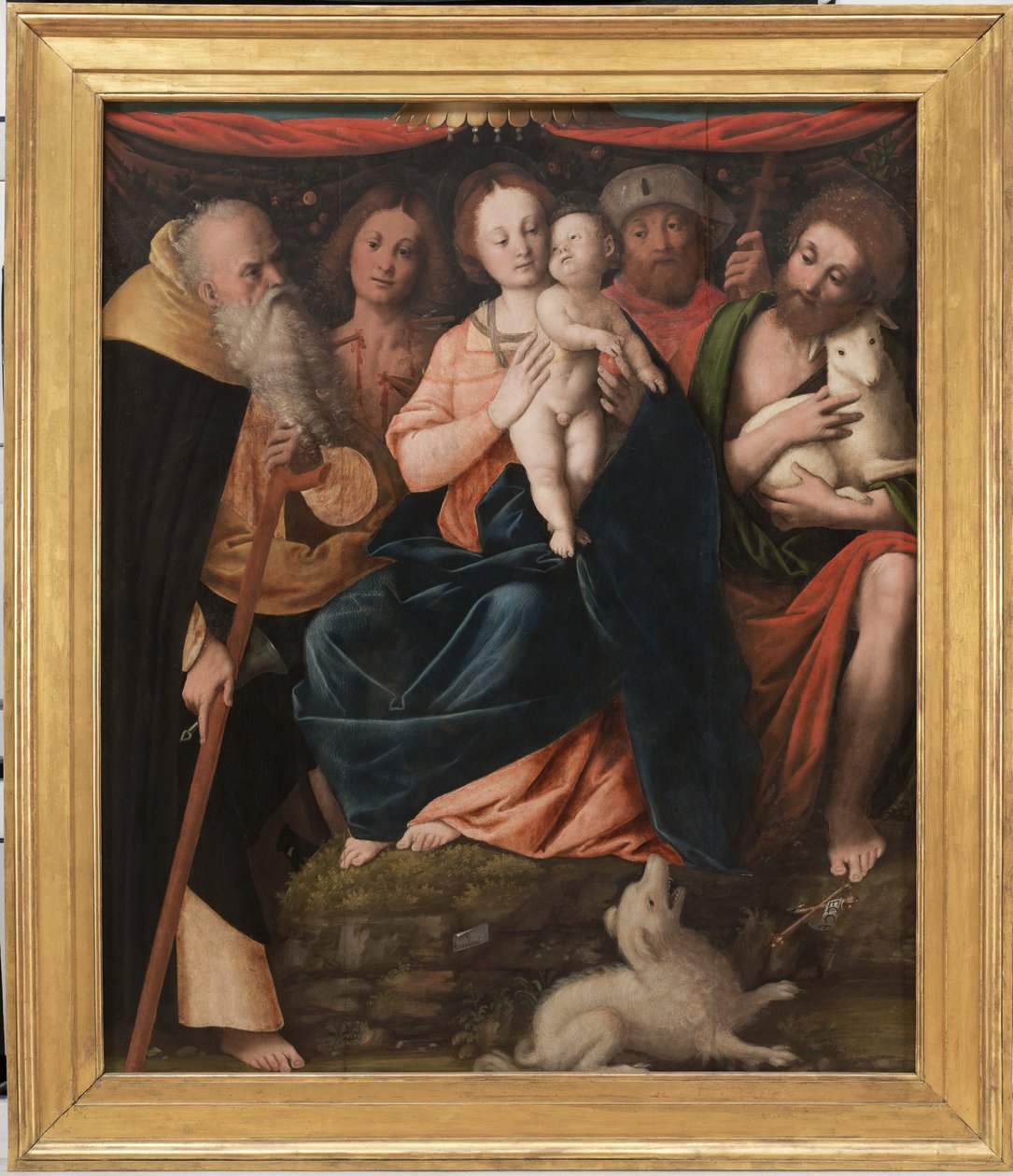 Madonna a dítě se svatými Anthony Abbot, Sebastian, Rocco a John the Baptist, 1534 od Bernardino Lanino