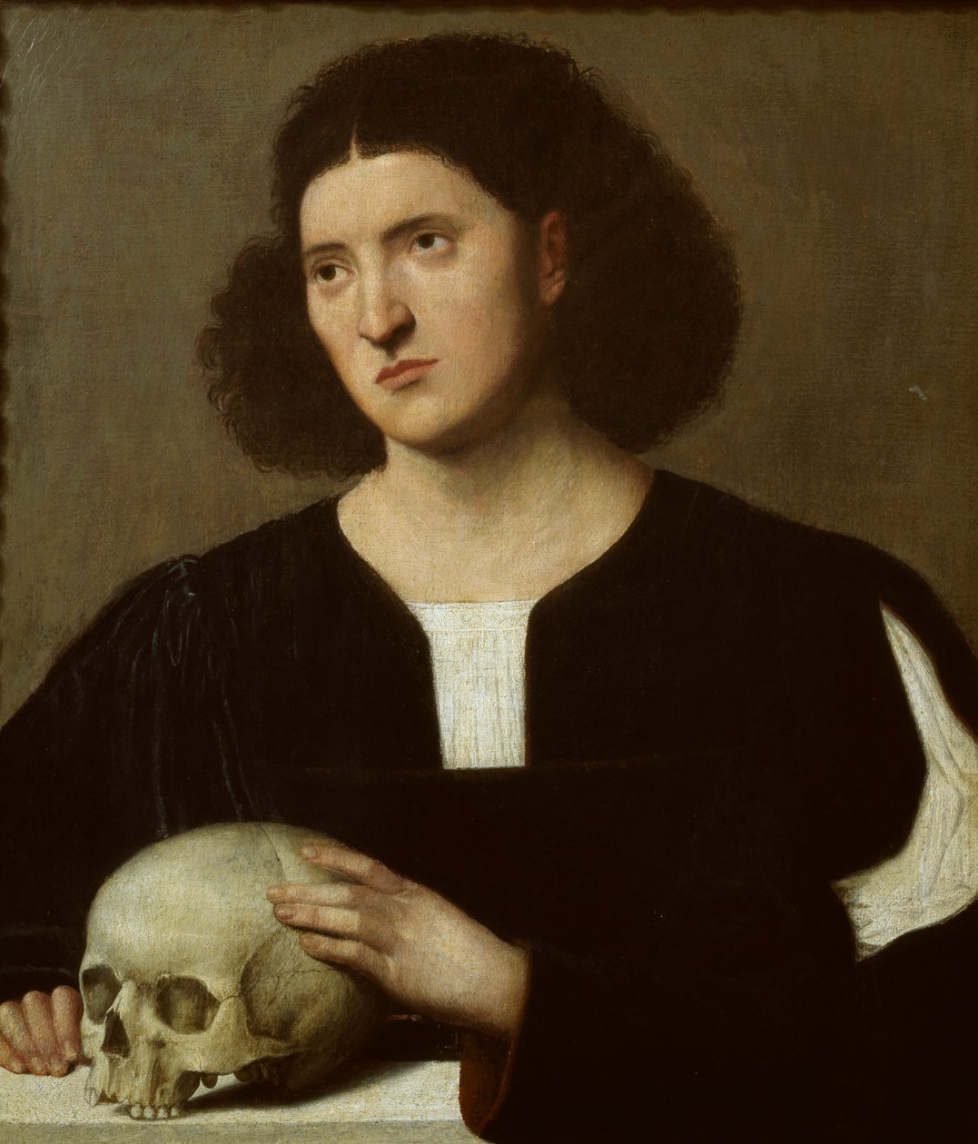 Portrét mladého muže s lebkou, c1510-1515 od Bernardino Licinio
