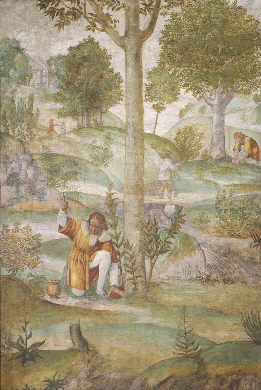 Cephalus skrývá drahokamy od Bernardino Luini