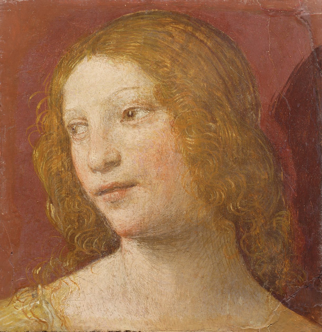 Hlava mladé ženy od Bernardino Luini
