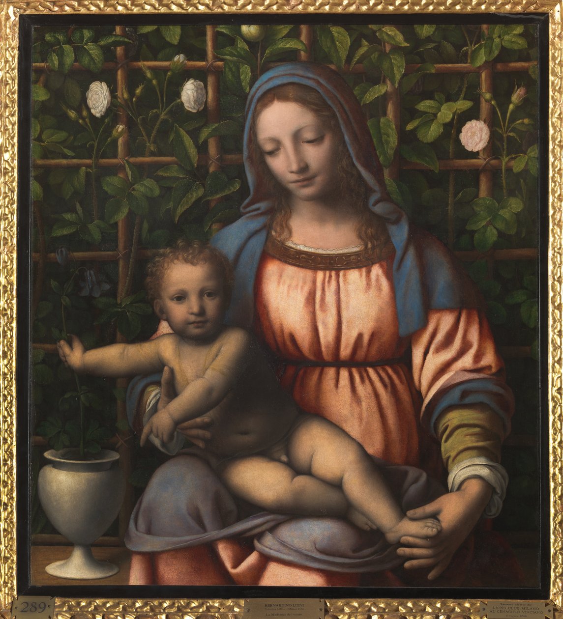 Madonna a dítě (Madonna del Roseto) od Bernardino Luini