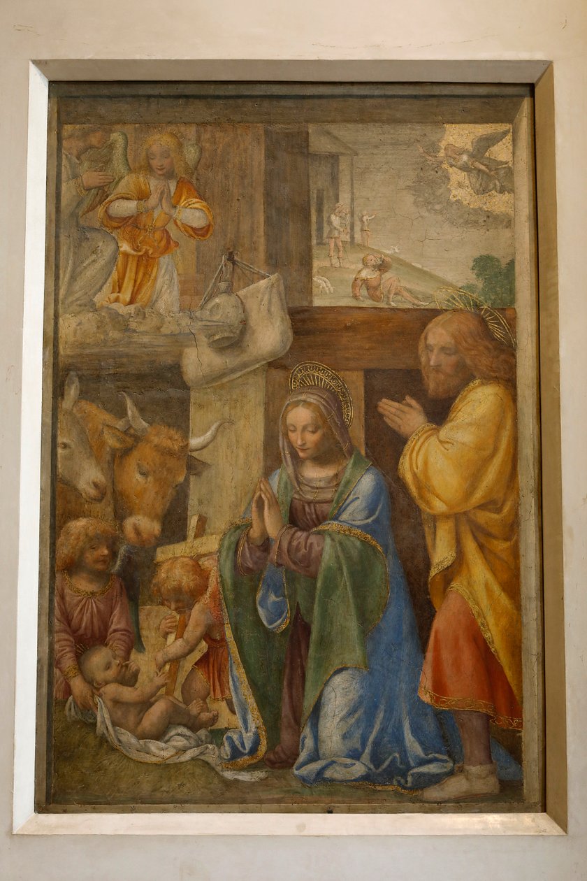 Narození a klanění pastýřů, c. 1520-1525 (olej na panelu) od Bernardino Luini