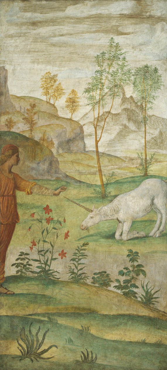 Procris a jednorožec od Bernardino Luini