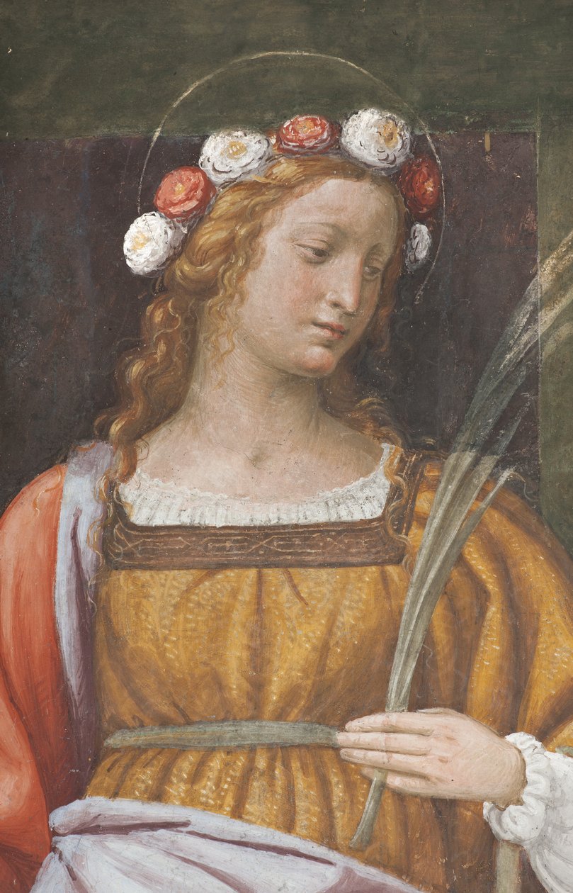 Saint Rose (detail 3497195) od Bernardino Luini