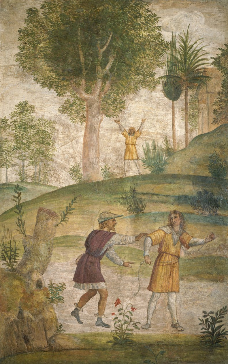 Zoufalství Cephala od Bernardino Luini