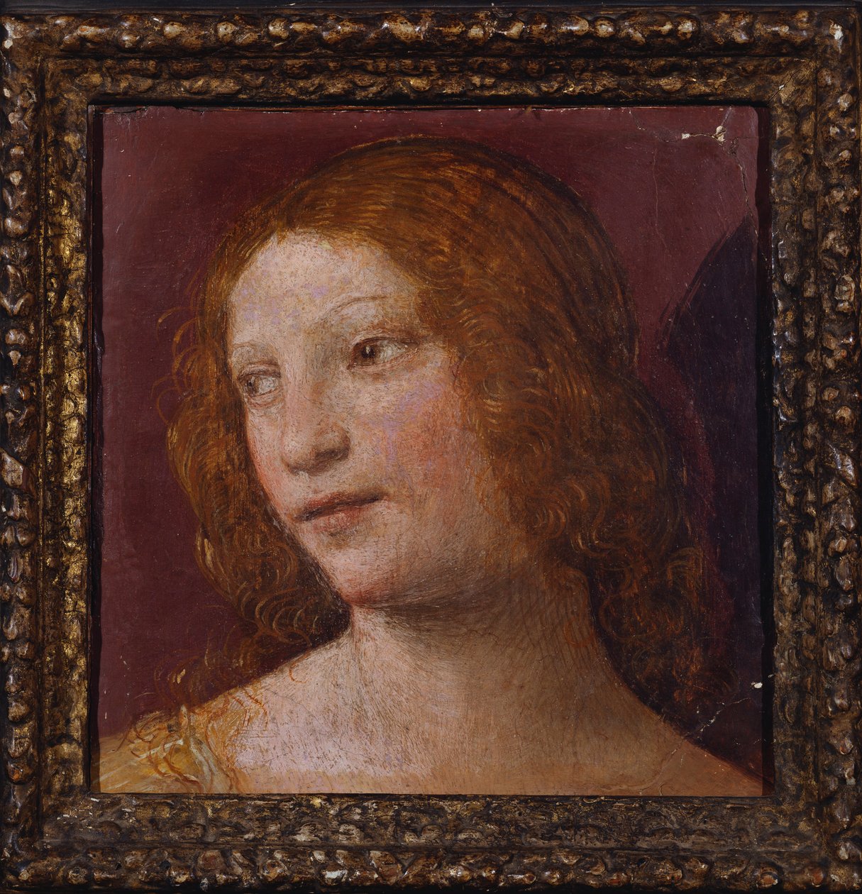 Hlava anděla - fragment od Bernardino Luini