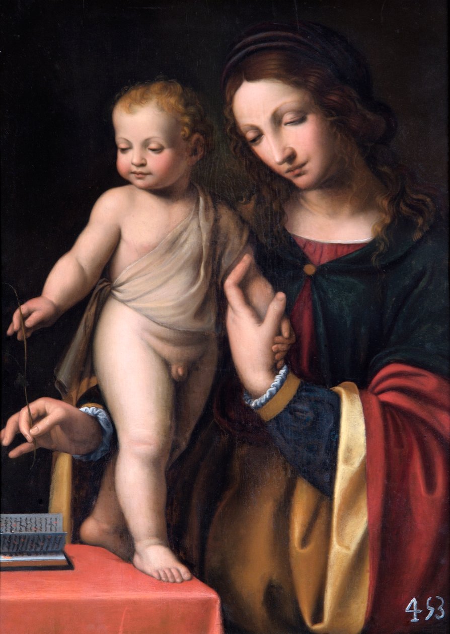 Panna se stojícím dítětem (olej na topolovém panelu) od Bernardino Luini