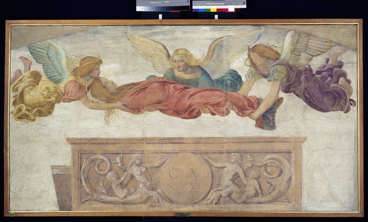 Tělo svaté Kateřiny nesené anděly, kolem roku 1514 (oddělená freska nesená na palubě) od Bernardino Luini