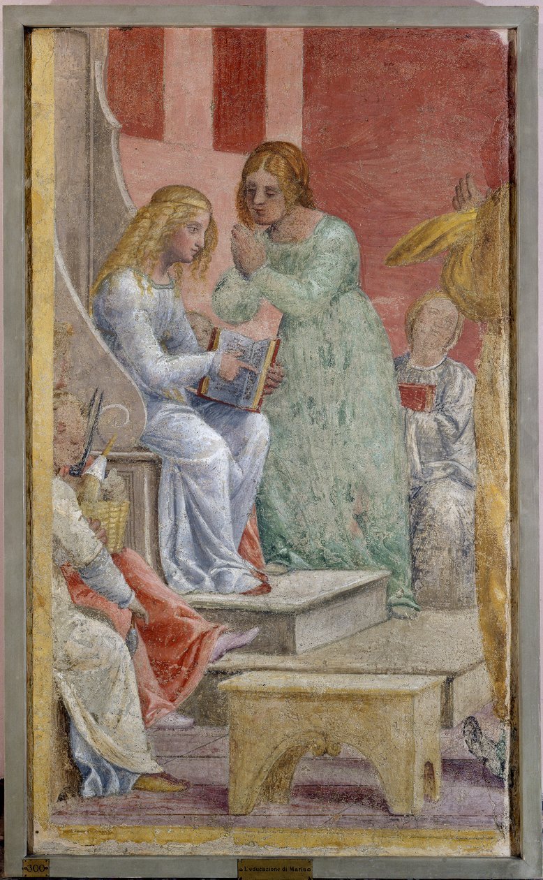 Dětství Panny Marie v chrámu od Bernardino Luini