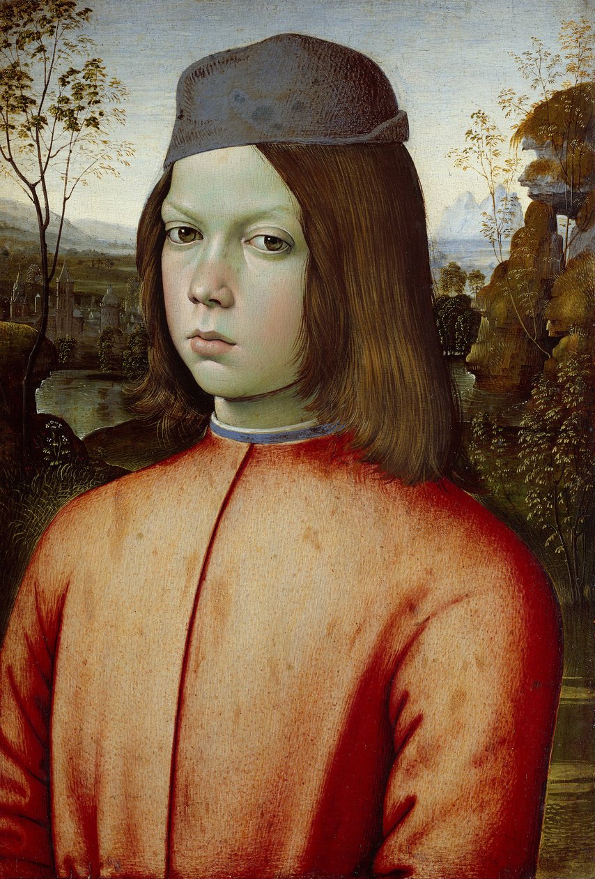 Portrét chlapce, c1500 od Bernardino Pinturicchio