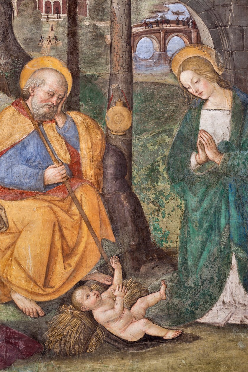 Klanění pastýřů (Klanění pastýřů) Detail Freska od Pinturicchio (Bernardino di Betto) (1454-1513) 1484-1492 (kostel Santa Maria del Popolo), bazilika Santa Maria del Popolo, Cappella Basso della Rovere Řím Itálie od Bernardino di Betto Pinturicchio